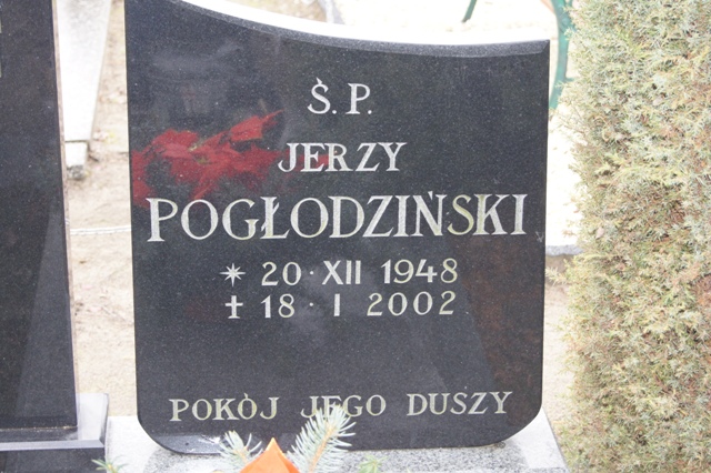 Dawid Pogłodziński 1978 Dolice - Grobonet - Wyszukiwarka osób pochowanych