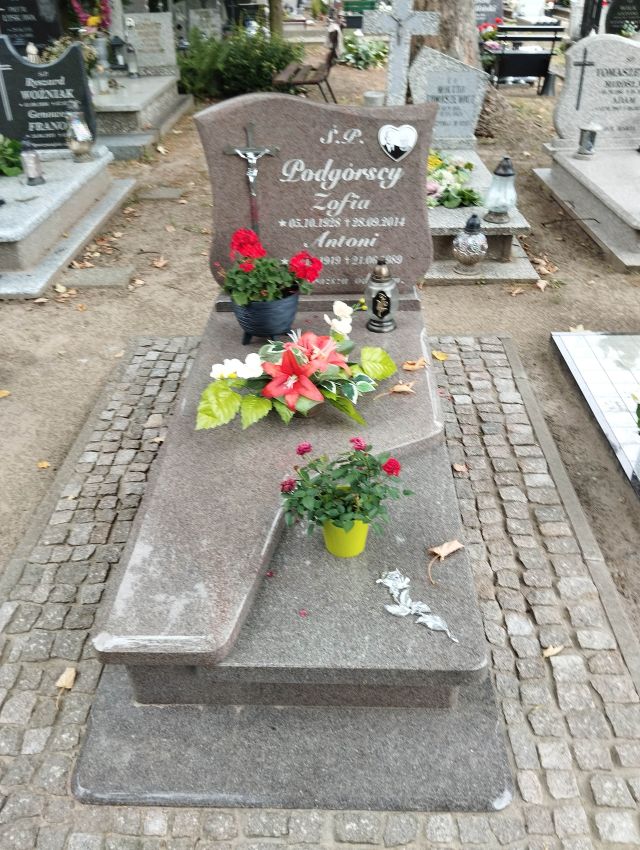 Antoni PODGÓRSKI 1919 Dolice - Grobonet - Wyszukiwarka osób pochowanych