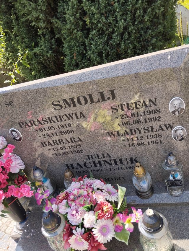 Julia BACHNIUK 1868 Dolice - Grobonet - Wyszukiwarka osób pochowanych