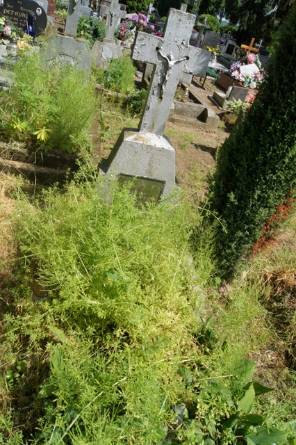 Marian DROZDOWSKI 1931 Dolice - Grobonet - Wyszukiwarka osób pochowanych