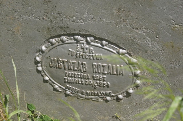 Rozalia JASTRZĄB 1865 Dolice - Grobonet - Wyszukiwarka osób pochowanych