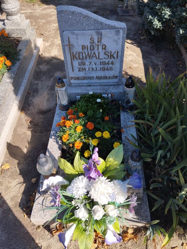 Piotr KOWALSKI 1944 Dolice - Grobonet - Wyszukiwarka osób pochowanych
