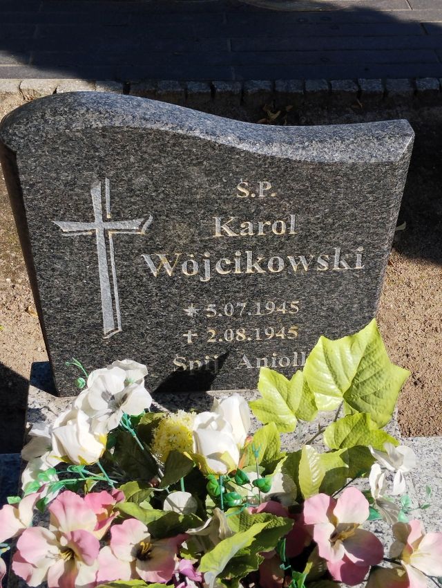 Karol WÓJCIKOWSKI 1945 Dolice - Grobonet - Wyszukiwarka osób pochowanych